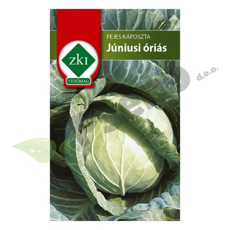 Kupus JUNIUSI ORIAS (Ditmar)