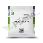 Kupus KRAUTMAN F1 Bejo Zaden_Pseno