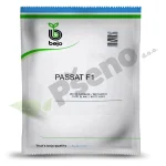 Kupus PASSAT F1 Bejo Zaden_Pseno