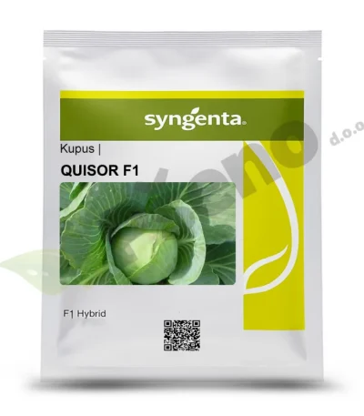 Kupus QUISOR F1