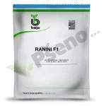 Kupus RANINI F1 Bejo Zaden_Pseno