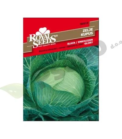 Kupus SLAVA Royal Seeds_Pseno