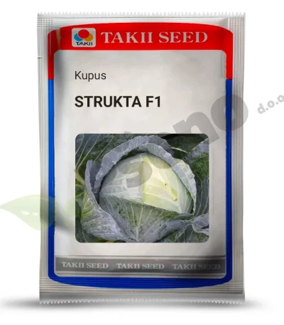 Kupus STRUKTA F1 Takii_PSeno