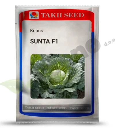 Kupus SUNTA F1 Takii_PSeno