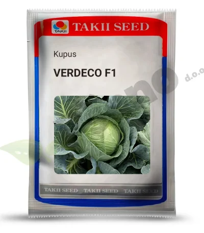 Kupus VERDECO F1 Takii_PSeno