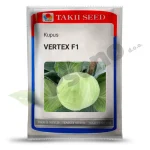 Kupus VERTEX F1 Takii_PSeno