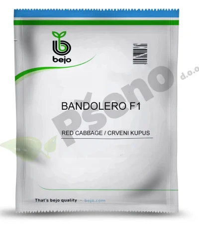 Kupus crveni BANDOLERO F1 Bejo Zaden_Pseno