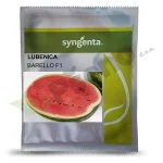 Lubenica BARELLO F1 Syngenta_Pseno