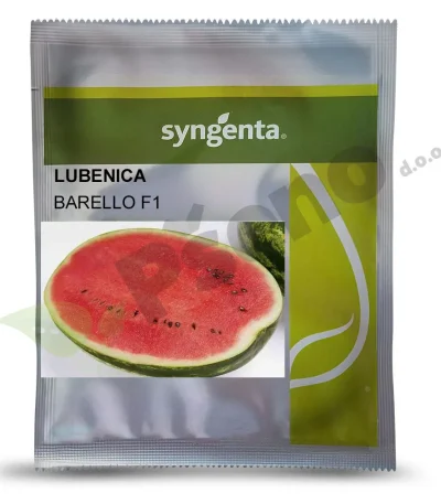 Lubenica BARELLO F1 Syngenta_Pseno