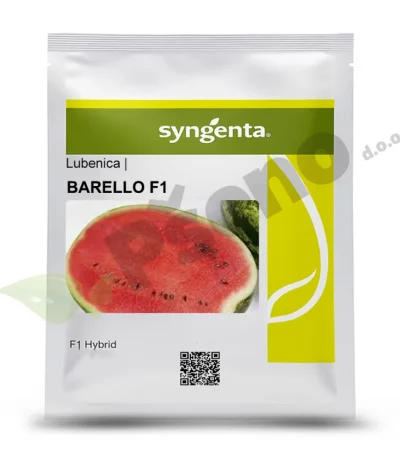 Lubenica BARELLO F1 Syngenta_Pseno