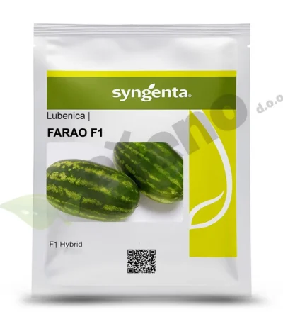 lubenica farao f1 syngenta