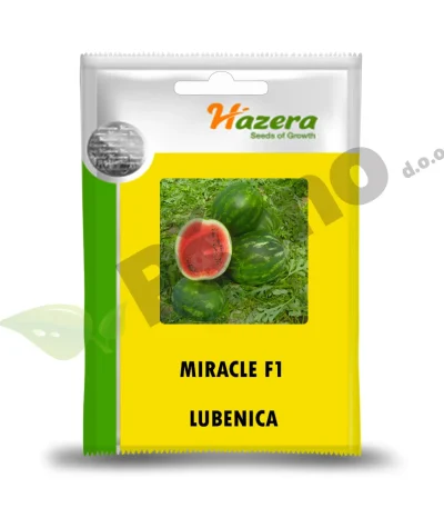 Lubenica MIRACLE F1