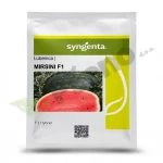 lubenica-mirsini-syngenta copy