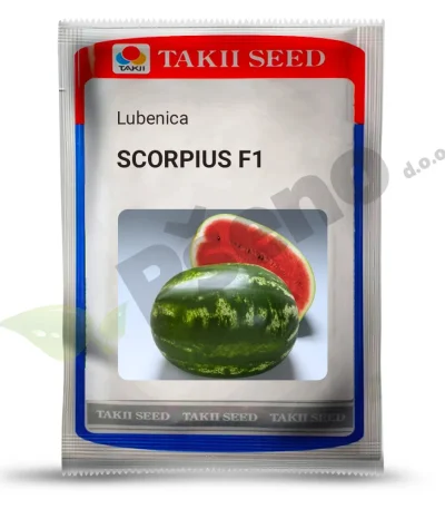 Lubenica SCORPIUS F1 Takii_Pseno