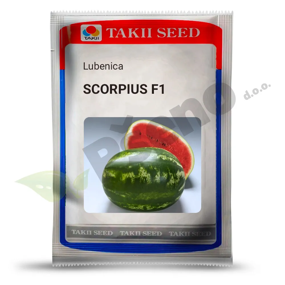 Lubenica SCORPIUS F1 Takii_Pseno