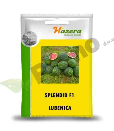 Lubenica SPLENDID F1