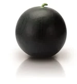 Lubenica PATA NEGRA F1 Seminis_Pseno_