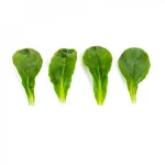 Salata-matovilac-VEYRON-RZ-pseno