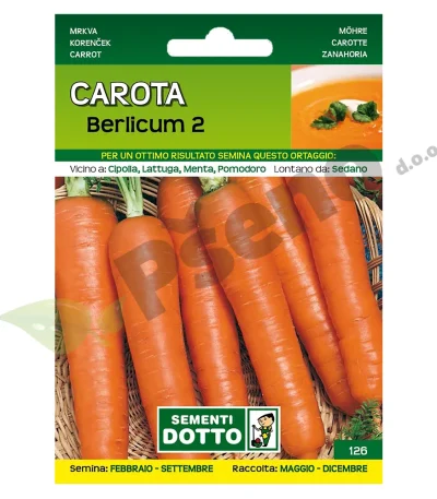 Mrkva BERLICUM 2