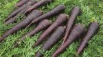 Mrkva DEEP PURPLE F1
