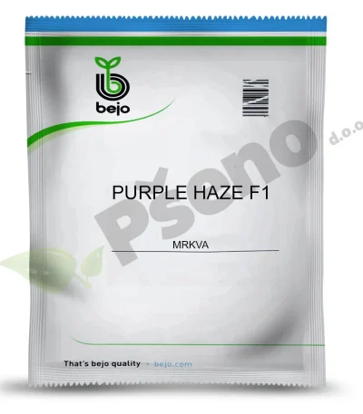 Mrkva Purple Haze F1 Bejo Zaden_Pseno