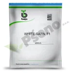 Mrkva White Satin F1 Bejo Zaden_Pseno