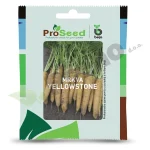 Mrkva YELLOWSTONE F1 Proseed Bejo Zaden_Pseno