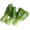 Pak choi