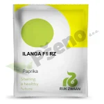 Paprika ILANGA F1 Rijk Zwaan_Pseno