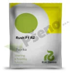 Paprika RUSH F1 Rijk Zwaan_Pseno