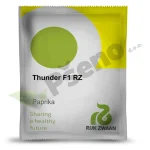 Paprika THUNDER F1 Rijk Zwaan_Pseno