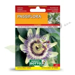 PASIFLORA