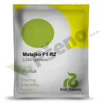 Poriluk MATEJKO F1 Rijk Zwaan_Pseno