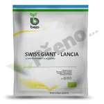Poriluk-SWISS-GIANT-LANCIA-Bejo-Pseno-organic