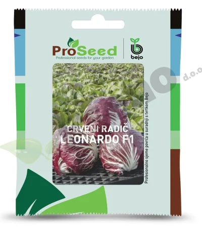 Radic LEONARDO F1 Proseed Bejo Zaden_Pseno