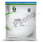 Radic Punto Bejo Zaden_Pseno