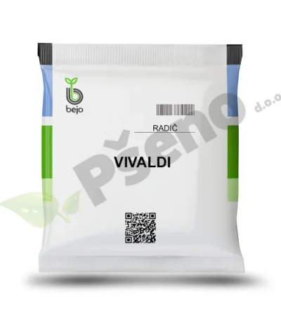 Radic Vivaldi Bejo Zaden_Pseno