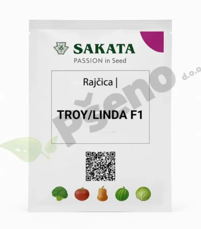 Rajčica TROY F1