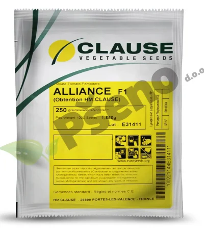 Rajcica-ALLIANCE-F1_Clause_Pseno