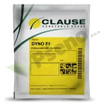 Rajcica DYNO F1 Clause_Pseno