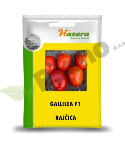 Rajčica GALILEA F1