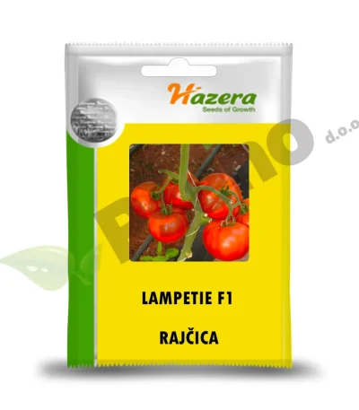 Rajčica LAMPETIE F1