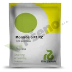 Rajcica MONTEBELO F1 Rijk Zwaan_Pseno