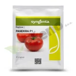 Rajcica-PANEKRA-F1-500-sj.-Syngenta