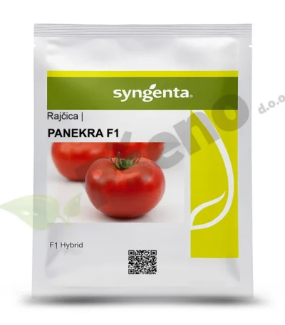Rajcica-PANEKRA-F1-500-sj.-Syngenta