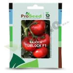 Rajcica TURLOCK F1 Proseed Bejo Zaden_Pseno