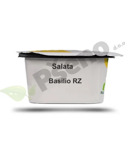 Salata BASILIO Rijk Zwaan_Pseno