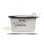 Salata BIFRIE Rijk Zwaan_Pseno