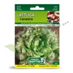 Salata CANASTA