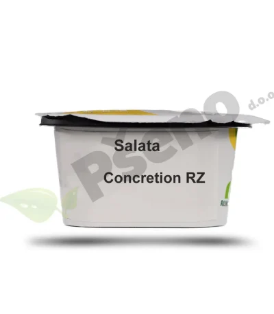 Salata CONCRETION Rijk Zwaan_Pseno